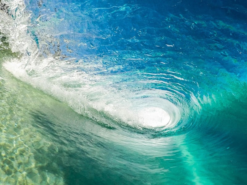 Surfing Wave